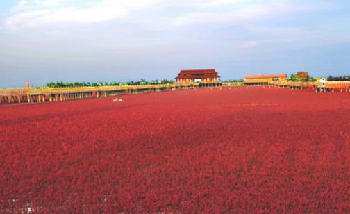盤錦紅海灘幾月份去好 盤錦紅海灘什么時(shí)候去最好