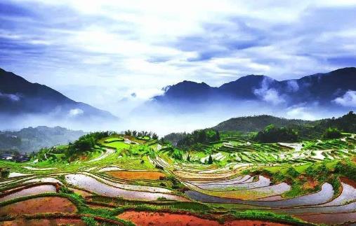 云和梯田最佳旅游時(shí)間是什么時(shí)候 云和梯田最佳旅游時(shí)間