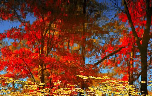 長(zhǎng)嶺村看紅葉什么時(shí)候去好 長(zhǎng)嶺村最佳旅游時(shí)間