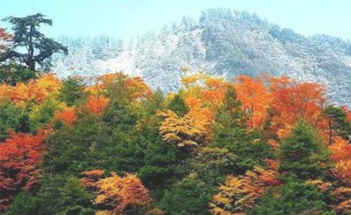 2018唐家河紅葉節(jié)是什么時候 唐家河的紅葉什么時候最紅