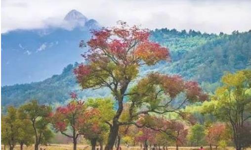 2018唐家河紅葉節(jié)是什么時候 唐家河的紅葉什么時候最紅