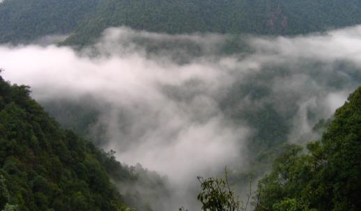 安遠三百山什么時候開放 安遠三百山開放時間