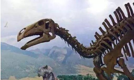 遼寧古生物博物館開館時(shí)間 遼寧古生物博物館什么時(shí)候開館