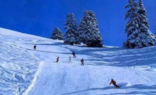 亞布力滑雪場(chǎng)開放時(shí)間 亞布力滑雪場(chǎng)什么時(shí)候開放