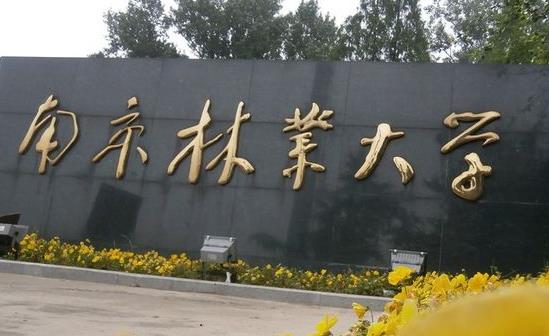 3、南京林業(yè)大學(xué).jpg