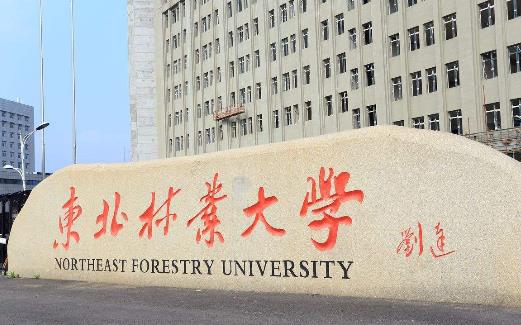 4、東北林業(yè)大學(xué).jpg
