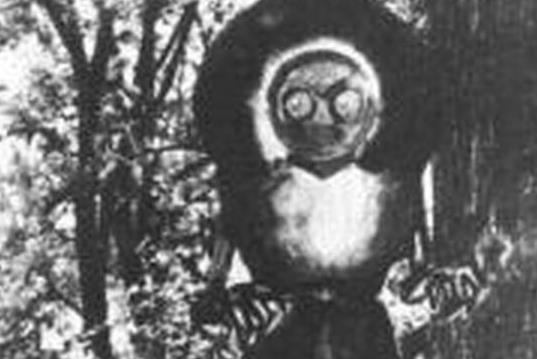 10、弗拉特伍茲怪物.jpg
