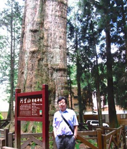 中國十大千年古樹排行榜,黃帝軒轅柏有5000年歷史!