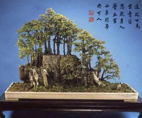 世界十大金獎(jiǎng)盆景排行榜,中國(guó)黃雀梅盆景位列第五