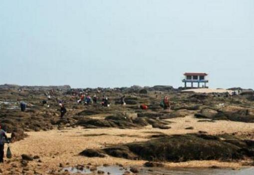 日照十個(gè)最好玩的地方排行榜,日照海濱國家森林公園風(fēng)景最好