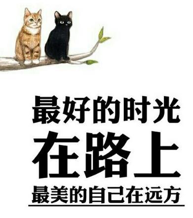 大學(xué)生必看的十本好書(shū)排行榜,《在路上》第一,《遠(yuǎn)方的鼓聲》第二