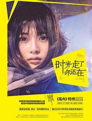 有關(guān)愛情的十本經(jīng)典小說(shuō)排行榜,《半暖時(shí)光》第一,《紙婚》,第二