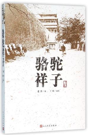 12本假期課外閱讀書(shū)籍排行榜,《海底兩萬(wàn)里》第一,《駱駝祥子》第二