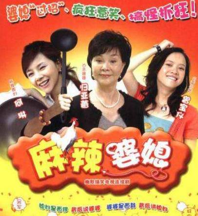 中國最經(jīng)典十大婆媳劇排行榜,《金婚》收視率最高