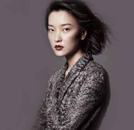 中國(guó)內(nèi)地十大女超模排行榜,劉雯第一,何穗第二