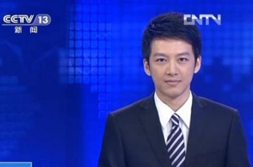 央視十大帥哥主持人排行榜,李澤鵬第一,撒貝寧第二