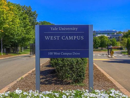泰晤士十大世界大學聲譽排行榜,哈佛大學、麻省理工學院是名校