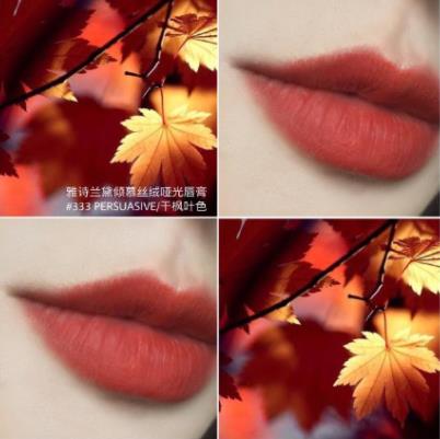 適合35歲女人的口紅排名,紀(jì)梵希小羊皮口紅317氣質(zhì)又顯嫩