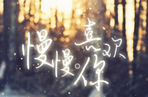 冷門好聽到哭的中文歌排名,《太多》《慢慢喜歡你》很好聽