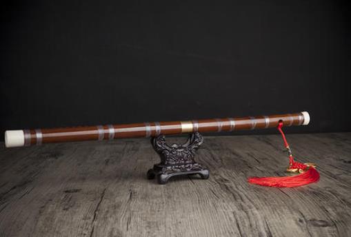 最有氣質(zhì)的十大樂器排名,鋼琴、小提琴彰顯藝術(shù)氣息