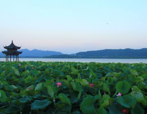 十大杭州旅游景點排名,西湖、靈隱寺吸引無數(shù)海內(nèi)外游客