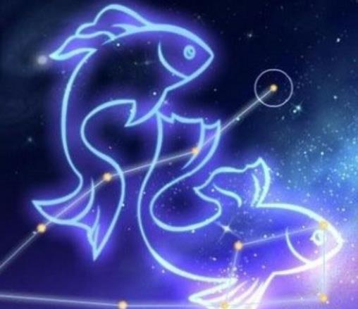 最厲害的血型星座女排名,B型血雙子座、O型血雙魚(yú)座受人歡迎