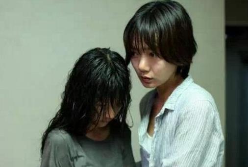 韓國(guó)大尺度禁片排名,《愛(ài)的色放》《下女》尺度都很大