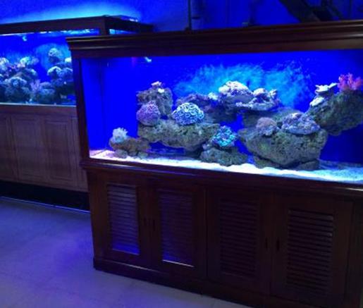 十大魚缸過濾器排名,森森、瘋狂石頭的品牌都不錯
