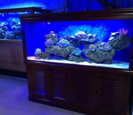 十大魚缸過濾器排名,森森、瘋狂石頭的品牌都不錯
