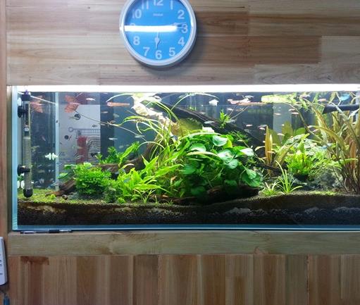 十大魚缸過濾器排名,森森、瘋狂石頭的品牌都不錯