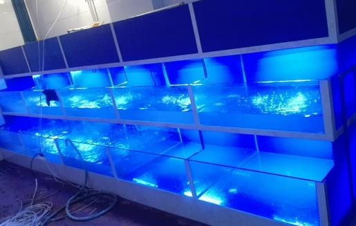 十大魚缸過濾器排名,森森、瘋狂石頭的品牌都不錯