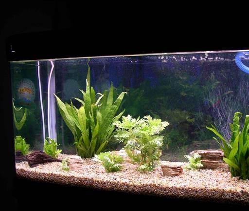 十大魚缸過濾器排名,森森、瘋狂石頭的品牌都不錯