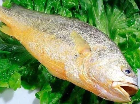世界上十種最貴海鮮排名,藍(lán)龍蝦、帝王鮭不是一般人吃得起的