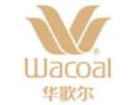 靠譜的塑身衣排行榜,GRACEWELL婷美、Aimer愛慕值得信賴