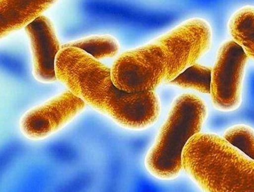 世界十大最致命的毒藥,肉毒桿菌、蓖麻毒素殺傷力都很強(qiáng)