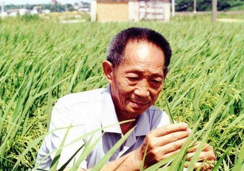 百度沸點2019十大年度人物,屠呦呦被稱為20世紀最偉大科學家之一