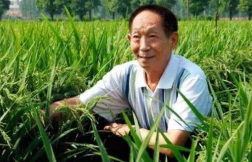 百度沸點(diǎn)2019年度十大年度人物,袁隆平、屠呦呦影響力很大