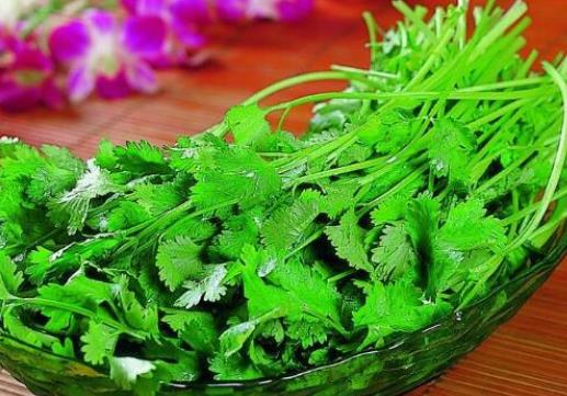 十大補腎蔬菜排名,香菜的微量元素排毒素,大蔥補腎壯陽