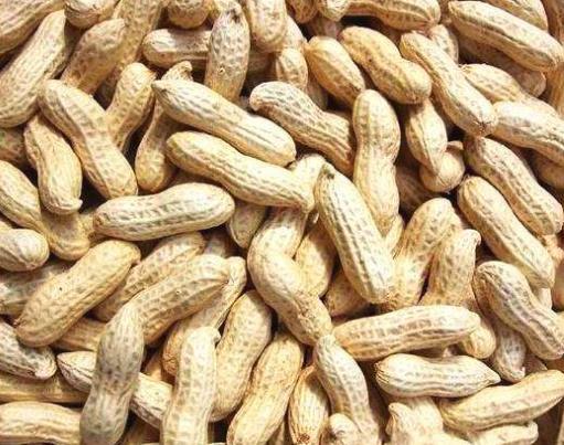 十大長壽食物排名,多吃蘋果增強免疫力,魚富含蛋白質(zhì)