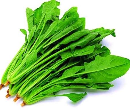 十大生發(fā)食物排名,菠菜富含維生素A,牡蠣針對(duì)脫發(fā)生發(fā)
