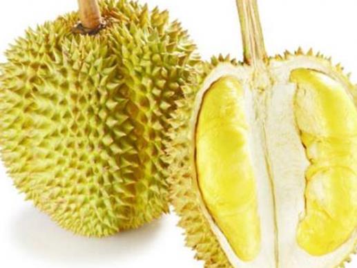 營(yíng)養(yǎng)價(jià)值高食物排名,蜂王漿是唯一可以直接服用的高活性成分營(yíng)養(yǎng)食物