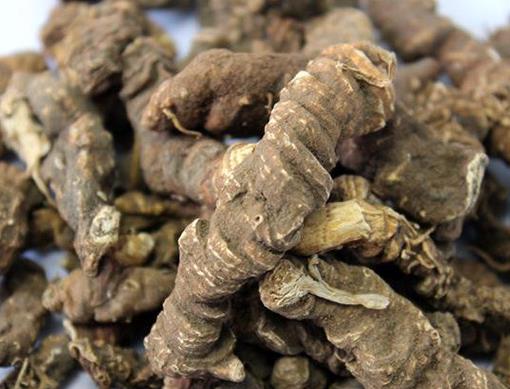 云南十大名貴藥材排名,天麻被稱為神物,三七是補血圣品