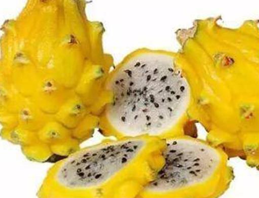 全球最貴十種水果,掛綠母樹荔枝價(jià)格不菲,黑皮西瓜一年只產(chǎn)100個