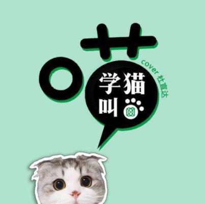 2019頭條搜索年度歌詞搜索榜單,《我和我的祖國》《生僻字》很熱門