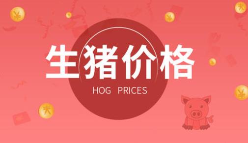 2019今日頭條年度關(guān)鍵詞榜單,國慶大閱兵、香港是國人關(guān)注熱點(diǎn)