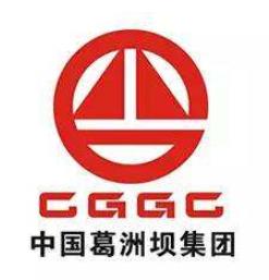 湖北省優(yōu)秀企業(yè)排名,武鋼集團有限公司、中國葛洲壩集團有限公司很有名