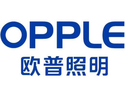 2019中國輕工業(yè)科技公司排名,海信家電、阜豐集團(tuán)的產(chǎn)品很暢銷