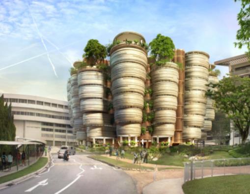 2020QS亞洲大學(xué)排行榜,新加坡國(guó)立大學(xué)、南洋理工大學(xué)享譽(yù)世界