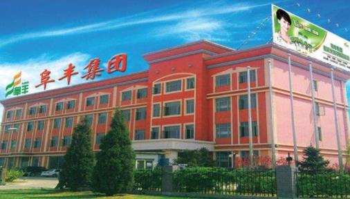 2019中國輕工業(yè)科技公司排名,海信家電、阜豐集團(tuán)的產(chǎn)品很暢銷