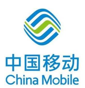 2019一帶一路中國企業(yè)排名,國家電網有限公司保障國家能源穩(wěn)定